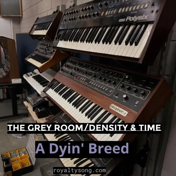 download free A Dyin' Breed mp3 by the grey room
