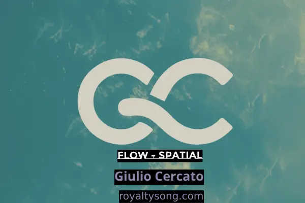 download free Flow - Spatialmp4