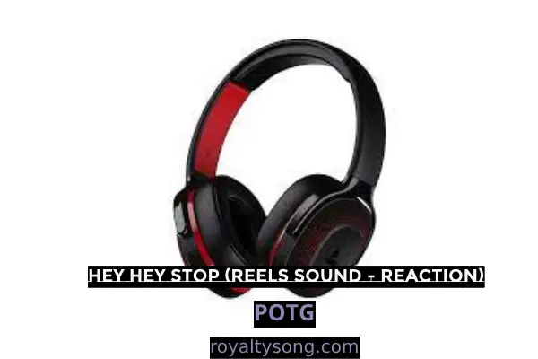 download free Hey Hey Stop (Reels Sound - Reaction) mp4