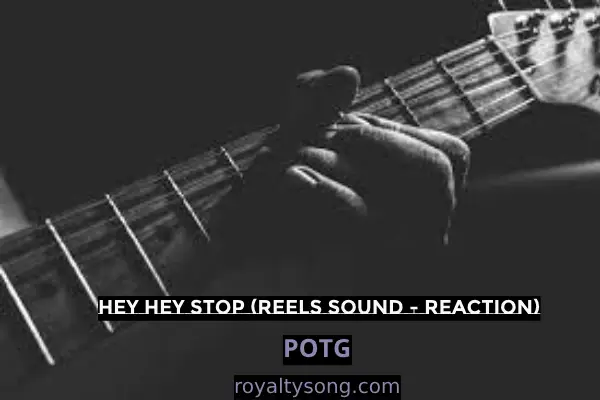 download free song Hey Hey Stop (Reels Sound - Reaction)
