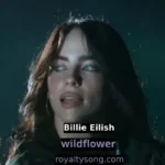 wildflower by billie eilish
