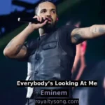 Everybody’s Looking At Me by Eminem mp3